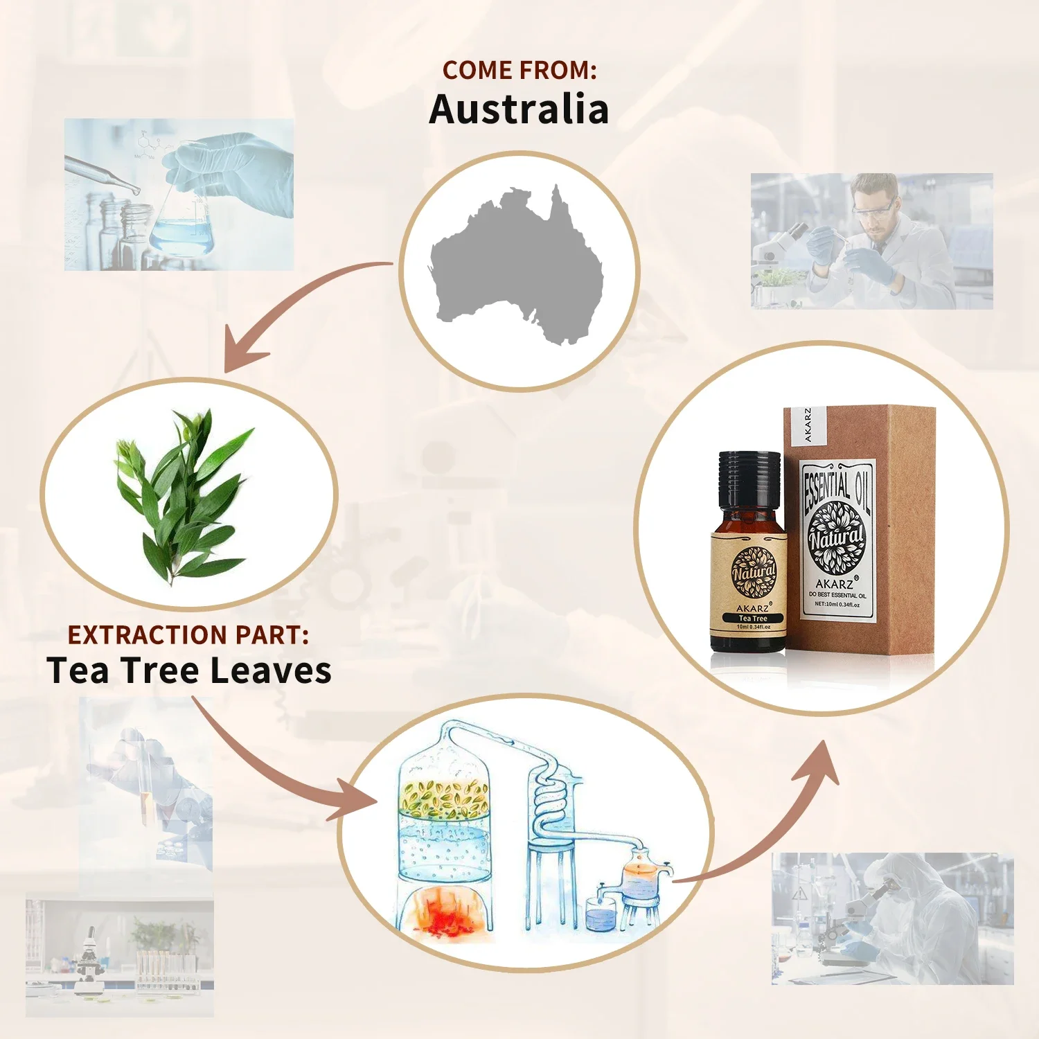 AKARZ Rosemary Essential Oil N - Soap Making Oils 评论和价格